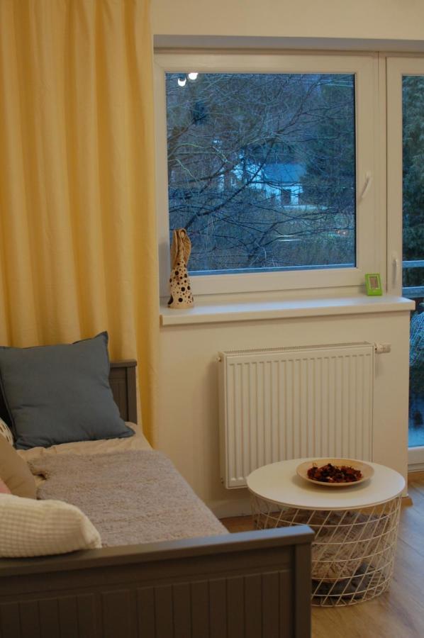 Apartman Masaryk リポヴァー・ラーズニェ エクステリア 写真